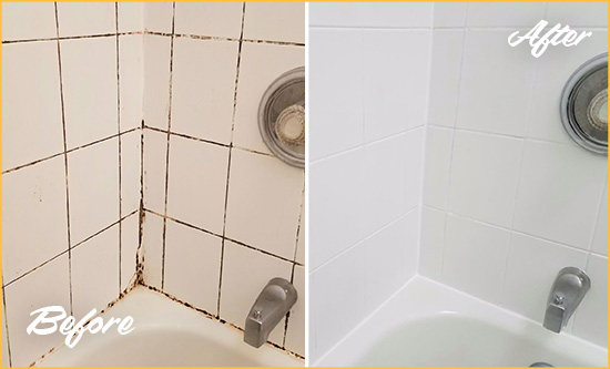 Before and After Picture of a Irvington Shower Tile and Grout Cleaned to Eliminate Mold