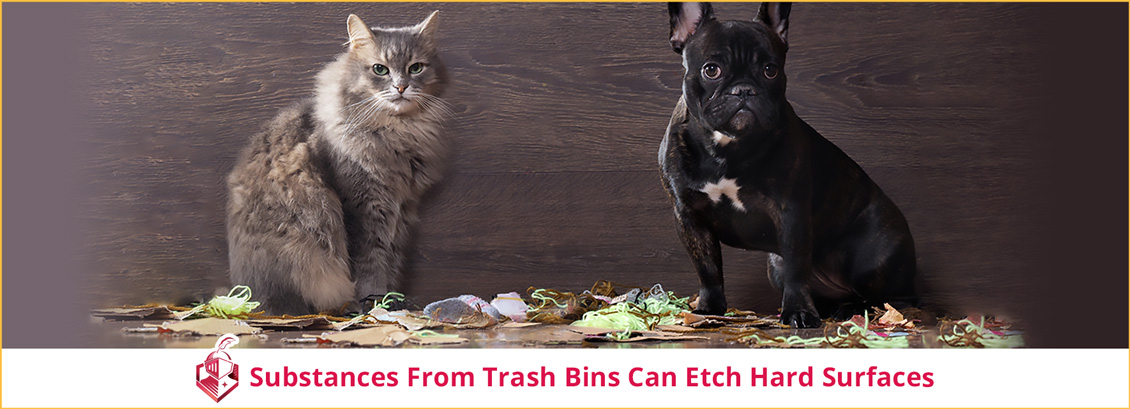 Substances from Trash Bins Can Etch Hard Surfaces
