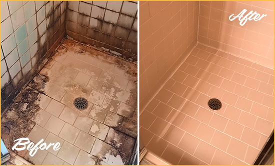 Before and After Picture of a Lewisboro Shower Tile and Grout Cleaned to Repair Water Damage