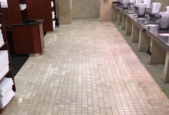 Hard Surface Restoration Services Before