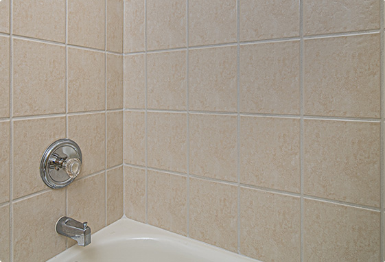 Grout Cleaning After