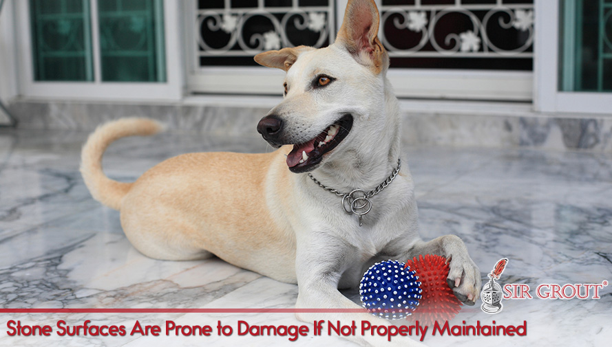 Stone Surfaces Are Prone to Damage if Not Properly Maintained