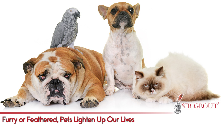 Furry or Feathered, Pets Lighten Up Our Lives