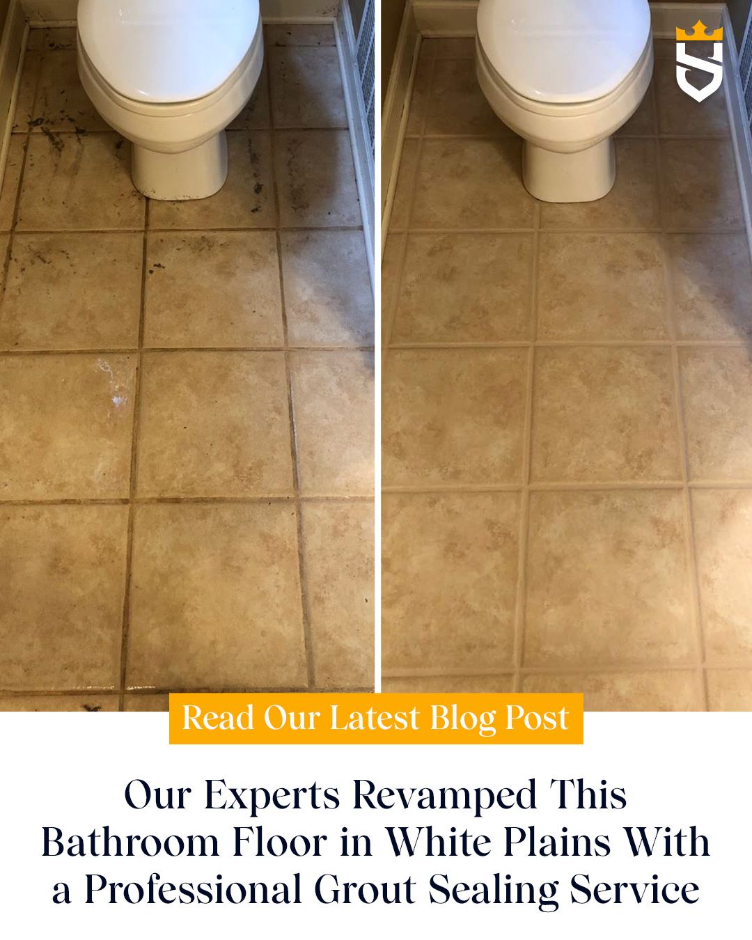 Our Experts Revamped This Bathroom Floor in White Plains With a Professional Grout Sealing Service